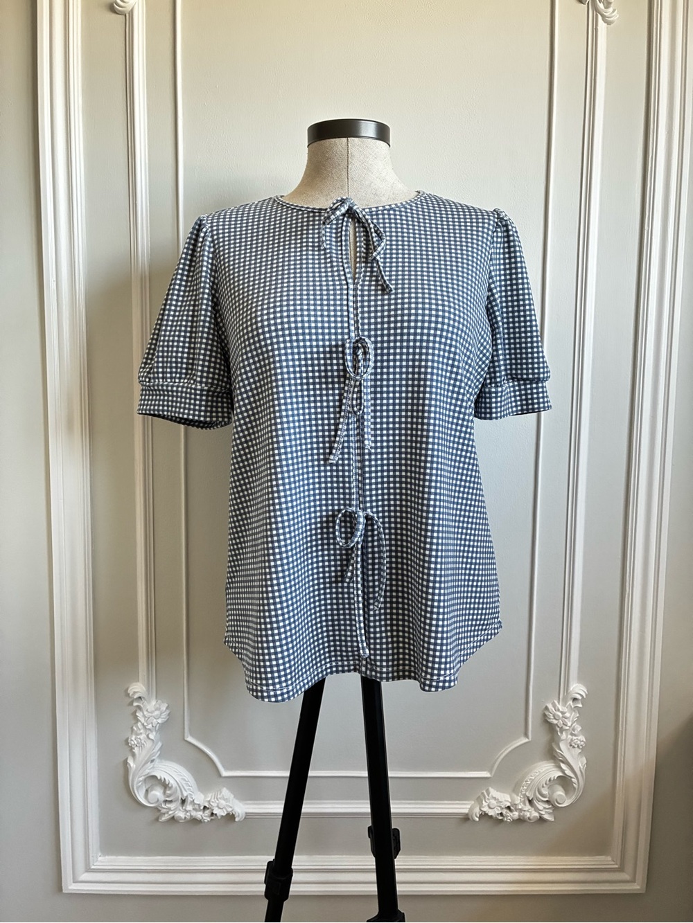 Adrianna Papell Blue and White Gingham Tie-Front Blouse